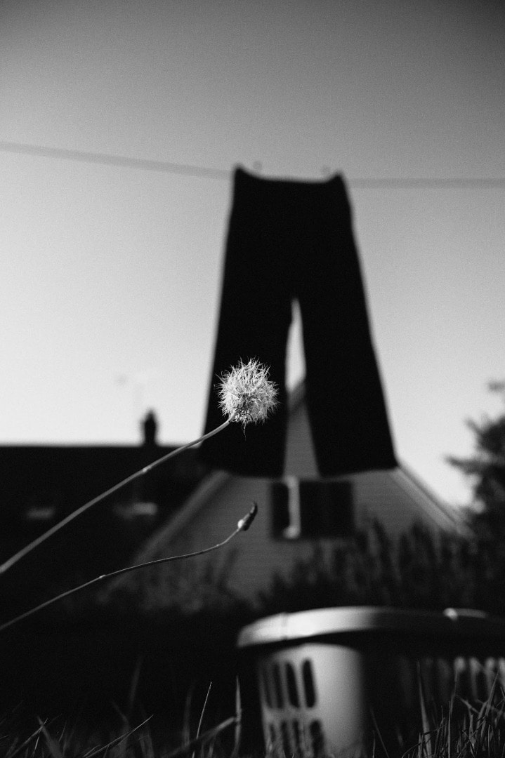 Memory of Time